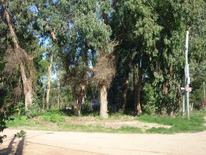 Terreno en venta en Balneario buenos Aires 